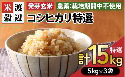 【令和7年産】発芽玄米 コシヒカリ「特選」特別栽培米使用 5kg×3袋（計15kg）【米 こしひかり 玄米 ギャバ GABA 特別栽培 食物繊維 栄養 真空パック ごはん ご飯 おいしい ふるさと納税米】 [J-2906]