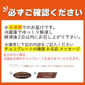 チョコクリーム フルーツケーキ 4号 冷凍 洋菓子 焼菓子 デザート スイーツ チョコレート チョコ お菓子 おやつ 果物 フルーツ 苺 いちご キウイ オレンジ ブルーベリー パイナップル クリーム