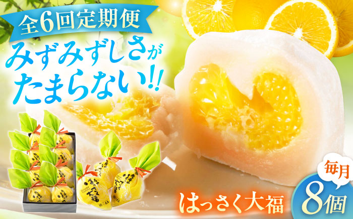 【6回定期便】お菓子 はっさく大福8個入　 お菓子 大福 八朔 柑橘 みかん オレンジ 餅 ギフト お取り寄せ スイーツ フルーツ大福 ご当地 菓子 おかし デザート 食品 人気 おすすめ 広島県福山