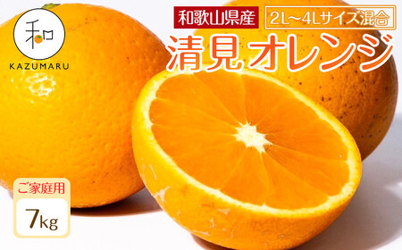 家庭用 森本農園の手選別 大玉清見オレンジ 約7kg 和歌山県産 2L~4Lサイズ混合 ［北海道・沖縄・離島配送不可］［2026年2月上旬から5月中旬頃順次発送予定］［RN101］