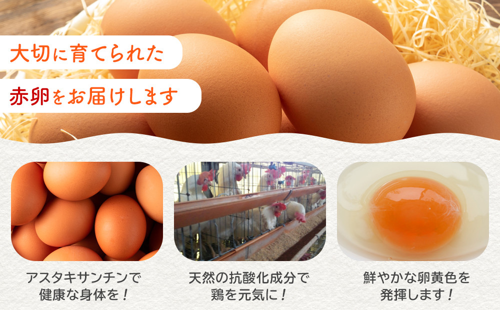おおえだファーム アスタキサンチン卵（赤卵）Lサイズ 50個入り