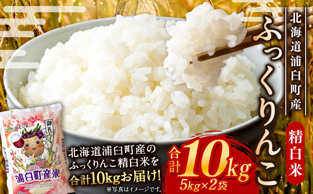 
                  〈令和8年産〉浦臼産 ふっくりんこ 精白米 10kg （5kg×2袋） お米 米 ブランド米 北海道産 北海道 浦臼町 【2026年11月上旬より順次発送】
                