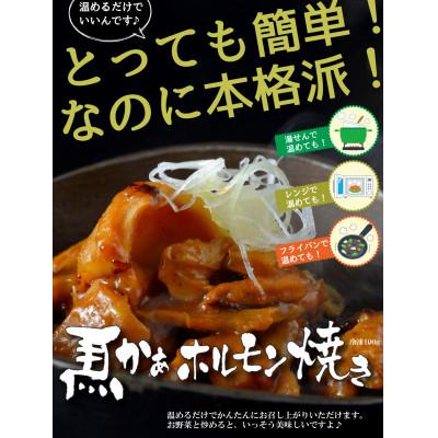 ふるさと納税 御船町 うまかぁ!馬ホルモン焼き1kg(小分け100g×10パック)