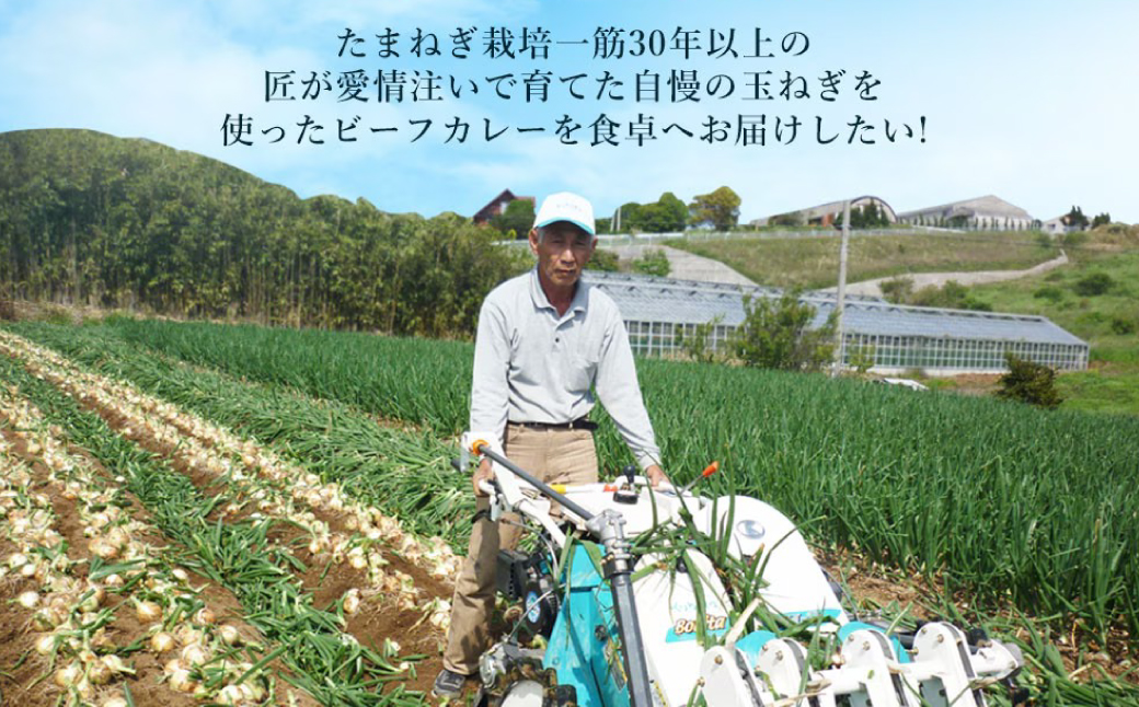 淡路島の牛肉とたまねぎ使用　今井ファームビーフカレー　200ｇ×10食　　[レトルトカレー 保存食 ご当地カレー レトルト ビーフカレー レトルトカレー レトルト ビーフカレー レトルトカレー レトル