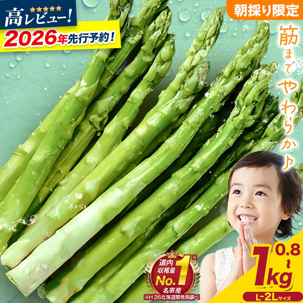 【ふるさと納税】朝採りアスパラガス 選べる Lサイズ(800g) または Lサイズ(1kg) または 2Lサイズ(800g) 《2026年5月中旬-5月下旬頃出荷予定》北海道 名寄市 送料無料 朝採り 新鮮 アスパラ
