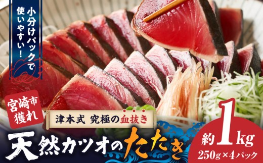 宮崎市獲れ！天然カツオのたたき_M396-001
