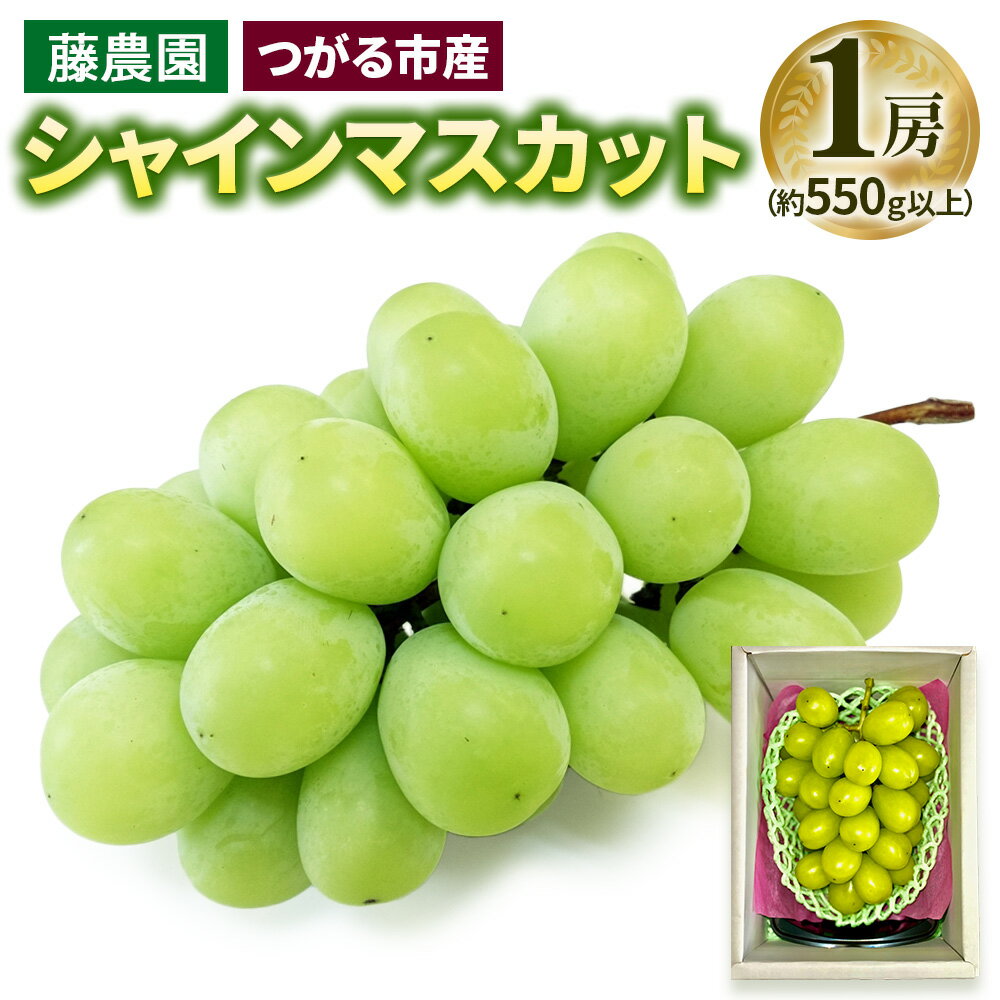 【ふるさと納税】シャインマスカット 1房 (約550g以上)糖度18度以上｜つがる市産 種なし ぶどう フルーツ 果物 贈答 青森 つがる市 藤農園 2026年産 令和8年 農福連携 [0964]