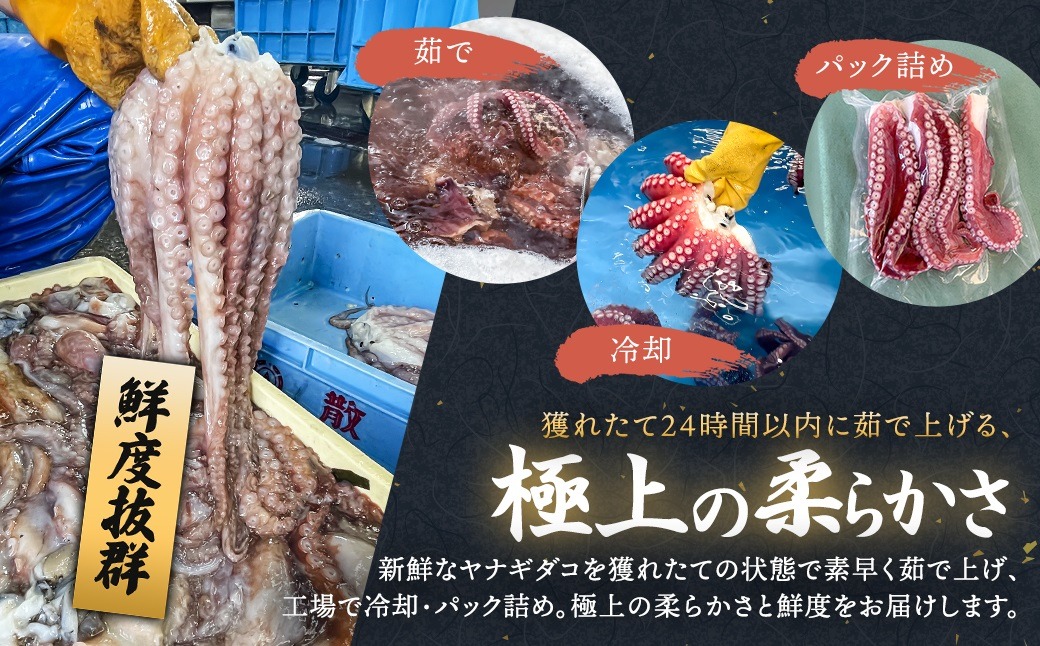 【定期便6ヶ月】ヤナギダコ500g【産地直送】プリプリ食感！釧路町昆布森産 ヤナギダコ｜噛むたびに広がる多幸の旨味 お刺身 鍋 煮物に最適 栄養満点 贈答用 にも最適 漁師直送 鮮度抜群 タコ 蛸 北海道 冷凍 釧路町 釧路超 特産品　121-1260-38