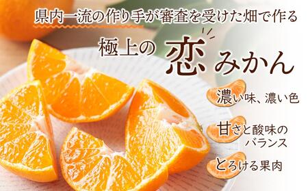 長崎恋みかん 5kg＜期間限定／先行予約＞【2025年11月中旬以降順次発送】