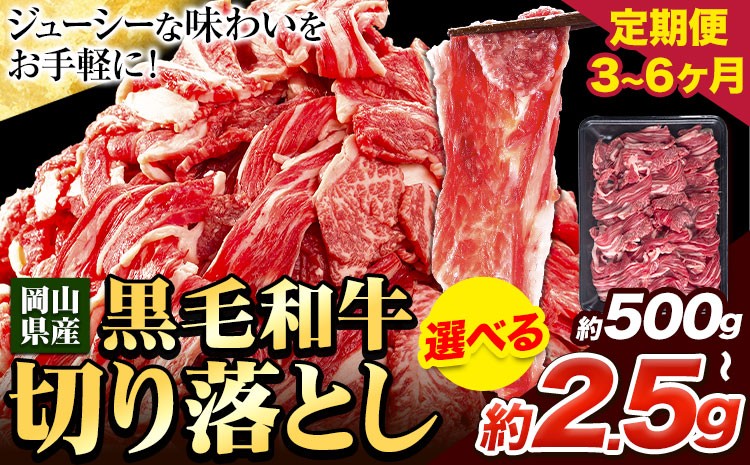
            牛肉 【定期便】肉 黒毛和牛 切り落とし 訳あり 大容量 小分け 500g～2.5kg 1パック 250g《お申込み月翌月から出荷開始》岡山県産 岡山県 笠岡市 お肉 にく カレー 牛丼 牛肉 切り落し 小分け 切落し 牛肉 小分け 牛肉
          