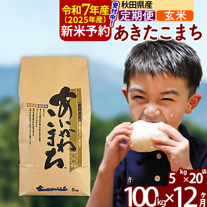 【ふるさと納税】※令和7年産 新米予約※《定期便12ヶ月》秋田県産 あきたこまち 100kg【玄米】(5kg小分け袋) 2025年産 お届け周期調整可能 隔月に調整OK お米 藤岡農産