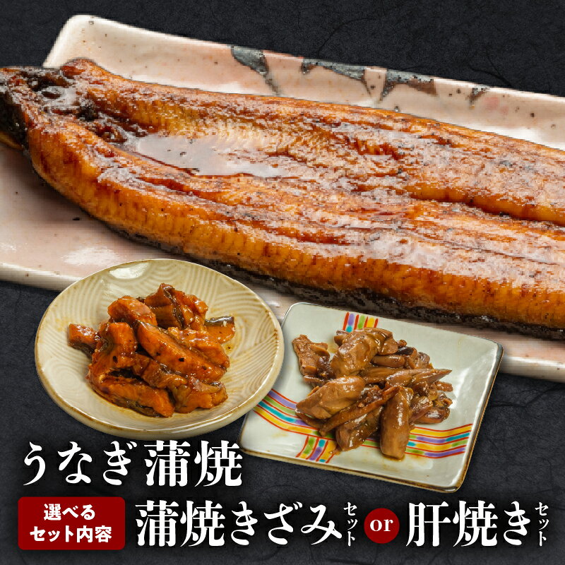 【ふるさと納税】【選べるセット内容・発送時期】国産うなぎ蒲焼セット うなぎ 鰻の蒲焼 蒲焼 うなぎ蒲焼き きざみ 肝焼き うなぎきざみ セット 詰め合わせ 選べる 惣菜 お惣菜 おかず 贈答 贈り物 ギフト お歳暮 お中元 プレゼント 人気 水産物 海鮮 宮崎市