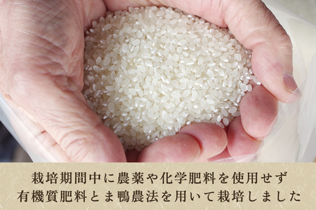 【令和7年産】【無農薬・無化学肥料】新潟産コシヒカリ「かも米」玄米20kg（5kg×4袋）