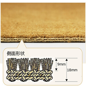［2枚組］ココヤシ玄関屋外泥・砂落としカルナマット（M）450×750mm