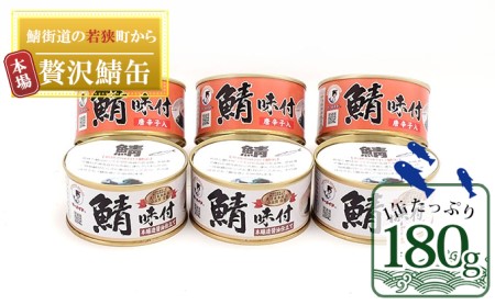 サバ缶 若狭 6缶 詰め合わせ  缶詰 備蓄 サバ缶