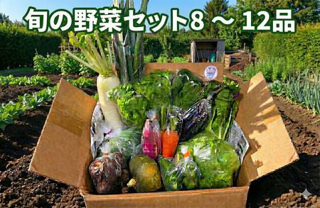 野菜 セット 8 ～ 12品 旬 の 湘南野菜 野菜 やさい ヤサイ