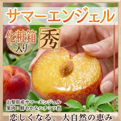 ふるさと納税 南アルプス市 【2027-06-25〜発送開始】すもも[希少品種]サマーエンジェル「夏の天使〕精選大玉約1.5kg