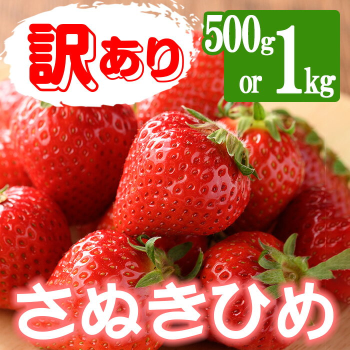 【ふるさと納税】＜期間限定！2026年3月下旬以降順次発送予定＞＜訳あり＞＜選べる容量＞香川県産 さぬきひめいちご(約500g・約1kg)国産 果物 くだもの 苺 イチゴ フルーツ 産地直送 新鮮 冷蔵便 【man106・man107】【Aglio nero】