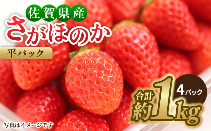 
            【1月中旬～3月中旬発送】みずみずしい果肉！さがほのか平パック4P 約1kg いちご 佐賀県産 佐賀県 イチゴ パック 吉野ヶ里町/リエンサーク [FCC002]
          