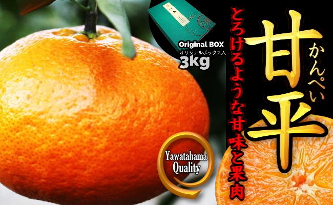 
D28-10.愛媛の“三大高級柑橘”の一つ！「甘平（かんぺい）」約3kg入（化粧箱入）
