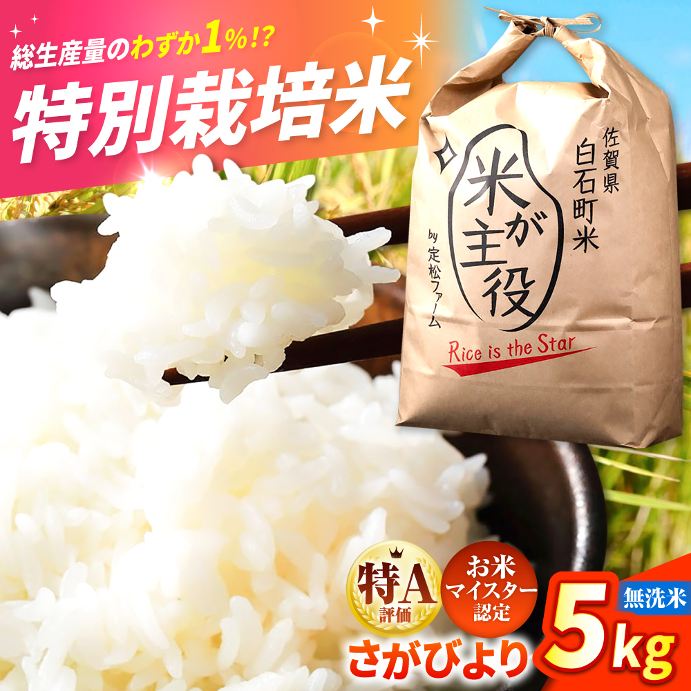 【先行予約】【令和7年度産】こだわりの特別栽培！無洗米 さがびより 5kg 【有限会社定松ファーム】 [IBV002]