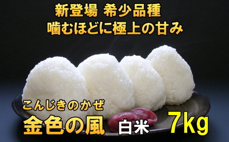 新登場の高級米 令和7年産 岩手県奥州市産 金色の風 白米7kg [AC028]