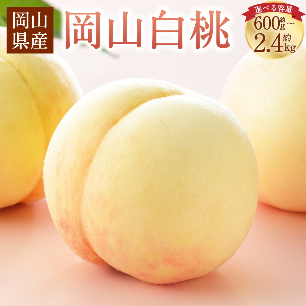 【ふるさと納税】＜選べる品種・内容量＞岡山白桃 ロイヤル / エース 計約600g～計約2.4kg 3玉～10玉 L～3Lサイズ 桃 もも モモ 白桃 フルーツ くだもの 果物 果実 デザート ギフト 贈答 ご家庭用 冷蔵 国産 岡山県 美咲町 送料無料 【2026年7月上旬～8月下旬発送予定】