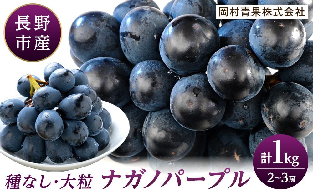 J0500ナガノパープル1kg