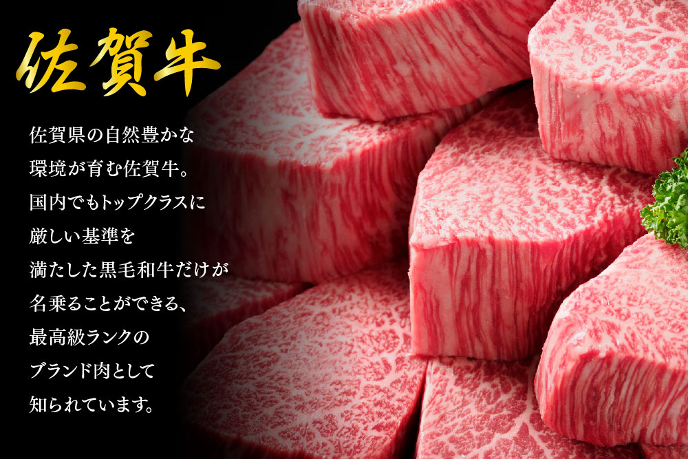 佐賀牛 サーロインステーキ 200g×4枚【佐賀牛 サーロインステーキ サーロイン ステーキ肉 濃厚 サシ 美味しい 絶品 やわらか クリスマス パーティー イベント お祝い ブランド肉】K03014