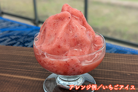 冷凍 完熟いちご１kg（500g×2袋）／いちごやす農園