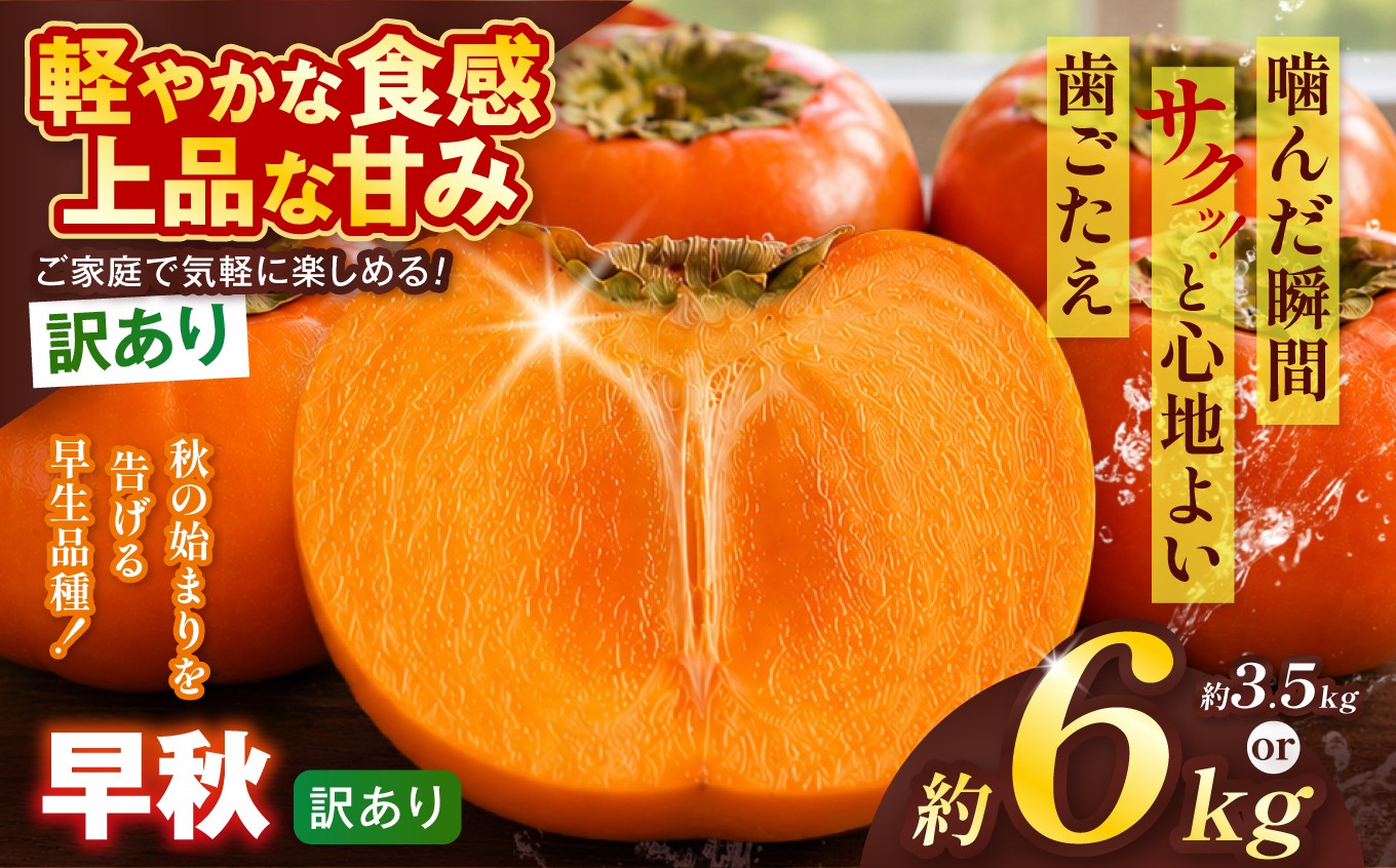 
                  【訳あり品】 早秋 柿 1箱 ( 選べる容量 ) 先行予約 令和8年10月中旬順次発送 |【希少柿を贅沢に楽しむ】 柿 早秋 フルーツ 果物 完熟 国産 国産 季節の果物 家庭用 自宅用 訳 あり わけあり 加工用 料理用 大容量 岐阜県 本巣郡 北方町
                