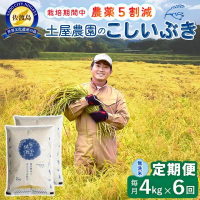 ふるさと納税 佐渡市 【毎月定期便】佐渡島産こしいぶき 無洗米4Kg 土屋農園 農家直送 栽培期間中農薬5割減　全6回