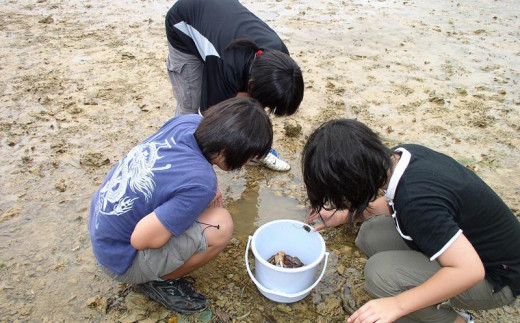 
【環境省重要湿地】【屋嘉田潟原】昼の干潟の観察（3人）
