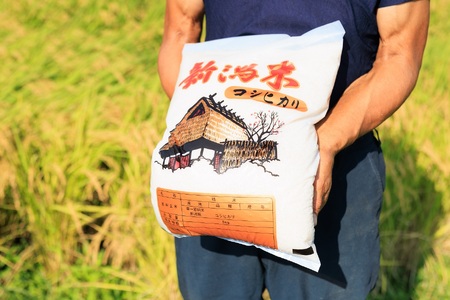 令和7年産 新潟県産『コシヒカリ』5kg プロも太鼓判！熟練農家のうまい米 2025年産 農家直送 吉農園【新潟県 糸魚川市 米 お米 こめ コメ ご飯 ライス ふるさと納税米 ブランド米 おすすめ 