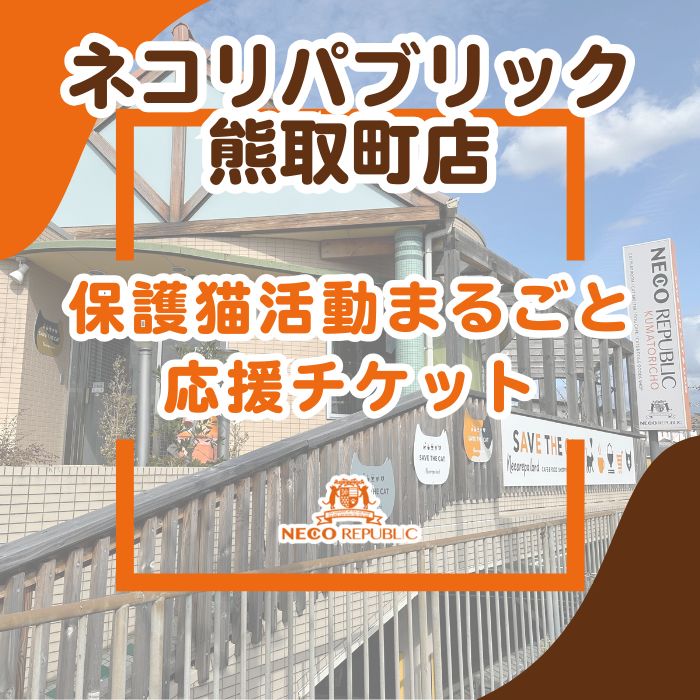 【ふるさと納税】保護猫活動まるごと応援チケット（047_5001）