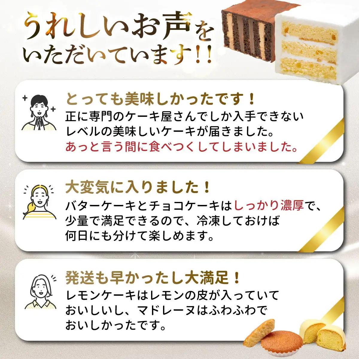  ≪定期便・全3回≫VISAVIS特撰セット　特選バターケーキ・博多赤煉瓦チョコ物語・九州のレモンケーキ・ミルクマドレーヌの詰め合わせ