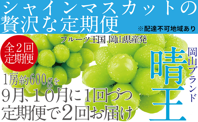 
            ぶどう 2025年 先行予約 9月・10月発送 シャイン マスカット 晴王 1房 約600g ブドウ 葡萄  岡山県産 国産 フルーツ 果物 ギフト[№5735-1680]
          