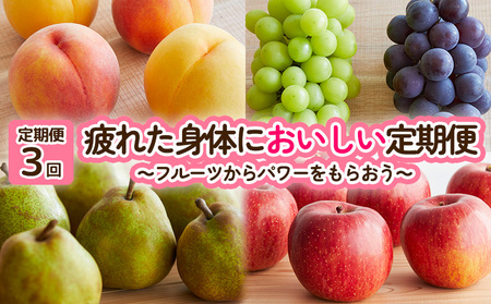 【定期便3回】疲れた身体においしい定期便　～フルーツからパワーをもらおう～ FY25-253