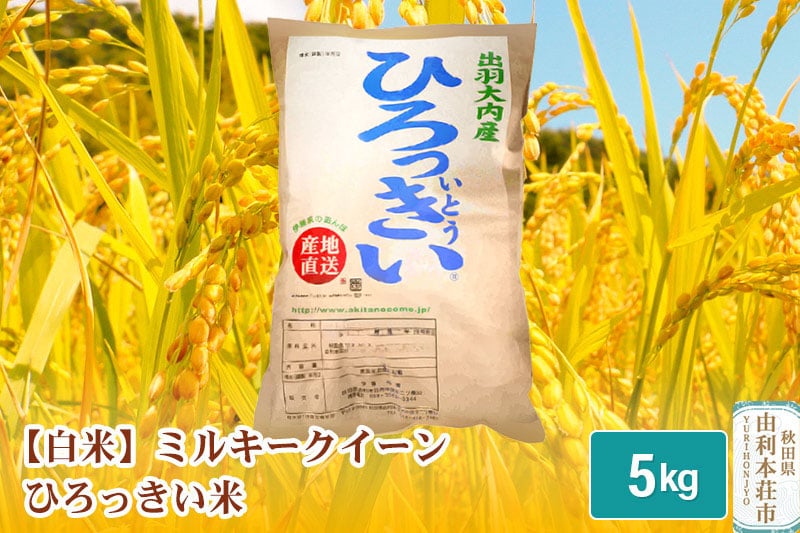 
【白米】 秋田県産 ミルキークイーン 5kg 令和6年産 ひろっきい米
