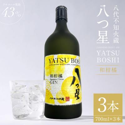 ふるさと納税 八代市 八代不知火蔵「八つ星・和柑橘(クラフトジン)」700ml×3本_133-6475