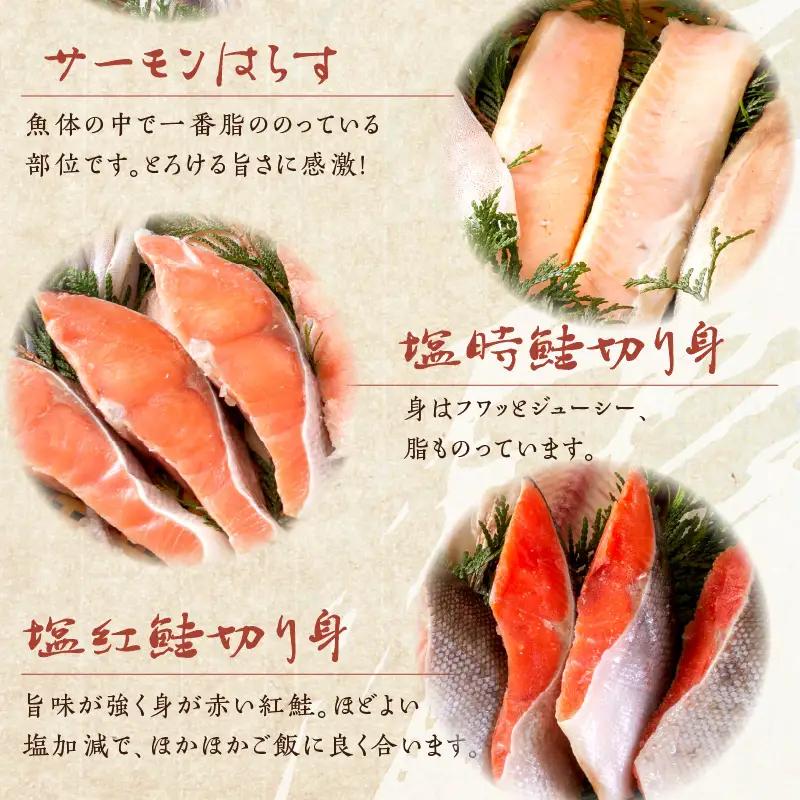 《14営業日以内に発送》船長自慢の海鮮セット ( 海鮮セット 海鮮 魚介類 ホッケ ナメタガレイ いか サーモン 鮭 時鮭 紅鮭 )【114-0086】