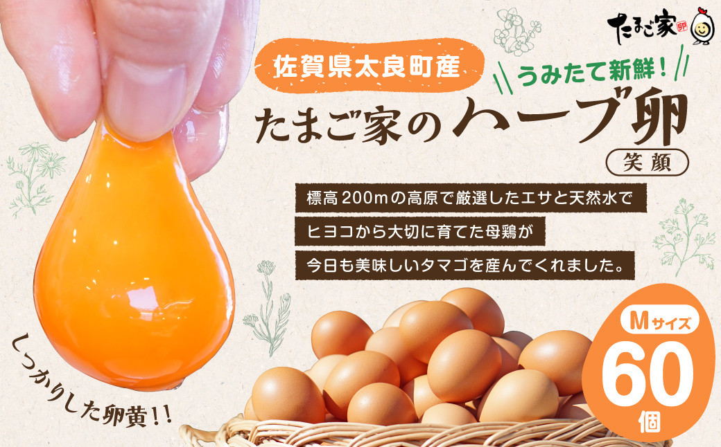 
                  たまご家のハーブ卵（笑顔）60個 たまご 卵 玉子 タマゴ 鶏卵 卵かけご飯 佐賀県 太良町 ND3
                