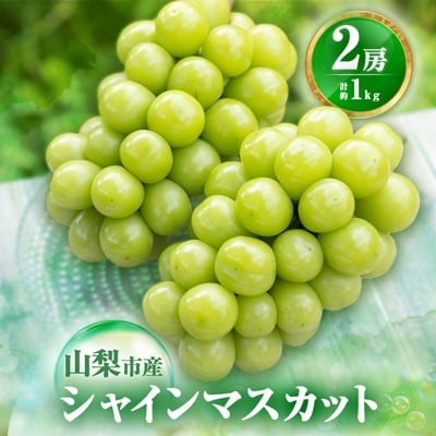 ＜先行受付＞山梨市産農福連携シャインマスカット2房(2房合計1kg程度) ふるさと納税