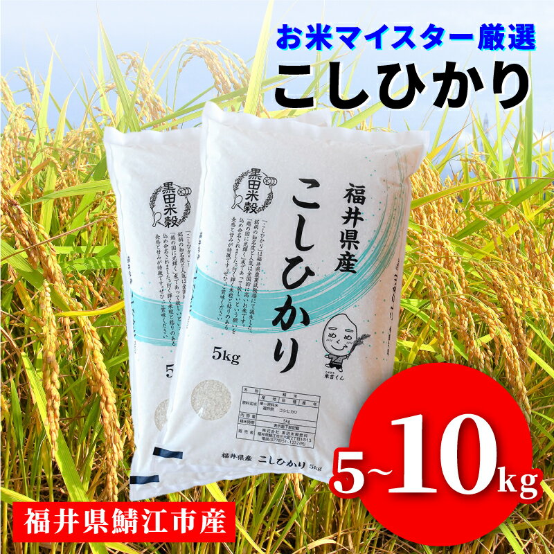 【ふるさと納税】【選べる配送回数！】【令和7年産新米！】令和7年産 コシヒカリ [C-02020] / 定期便 お取り寄せ お米 精米 白米 小分け 便利 弁当 ごはん ご飯 コメ おにぎり ブランド 米 初回 送料無料 常温 配送 新生活 応援 5kg 10kg