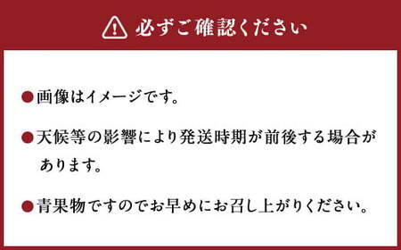 ＜宮崎県産完熟マンゴー 2L×2玉（約700g）＞20626年4月中旬～7月下旬までに順次出荷【c1394_mm_x1】 果物 くだもの フルーツ アーウィン マンゴー デザート 甘味 完熟 宮崎