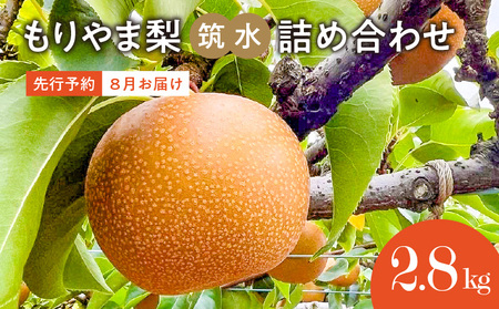 びわこもりやまフルーツランド  もりやま梨　筑水詰め合わせ  完熟採り　生産農家直送