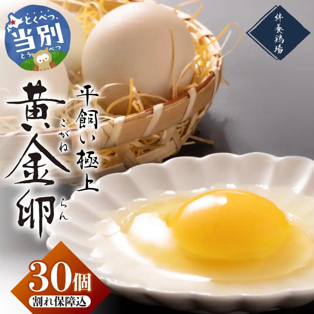 黄金卵 30個入 | たまご タマゴ 平飼いたまご たまごかけご飯 玉子 生卵 卵焼 北海道 当別町