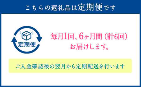 【指定日必須】【6ヶ月定期便】季節のお花定期便（フラワーアレンジメント） 花  フラワー フラワーギフト 定期便