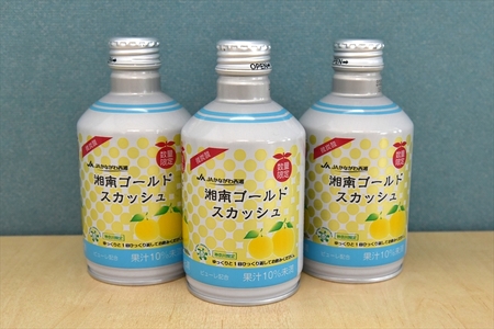 湘南ゴールドスカッシュ　290ml×24本入り【 神奈川県 山北町 】