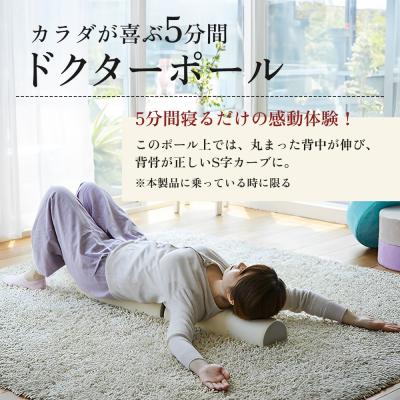 ふるさと納税 加西市 [ ドクターポール ] ポール ストレッチ 姿勢矯正 フィットネス [No5698-0935] |  | 02